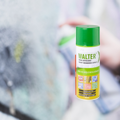 PAINT REMOVER SPRAY